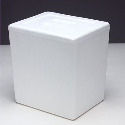 15 Quart Styrofoam Cooler