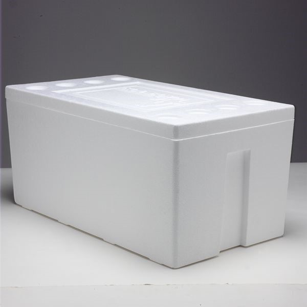 Styrofoam Cooler Box. Extra large,summer use on your Deck. Strong  construction