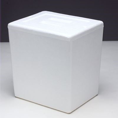 Plastilite TG19-C36 Styrofoam Cooler with Corrugated Box, 25.4 Quarts